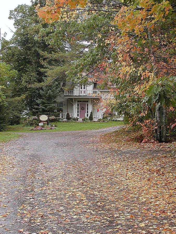 Briarwood Bed & Breakfast Elmsdale Exterior foto
