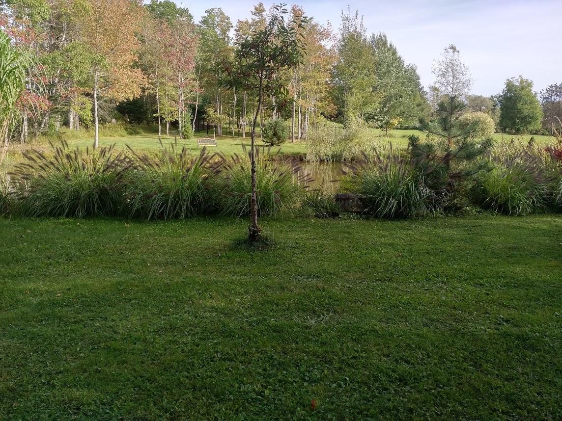 Briarwood Bed & Breakfast Elmsdale Cameră foto